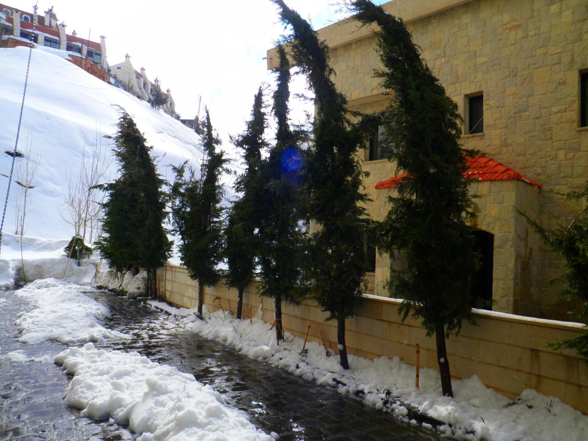 Stone Chalets Fārayyā Dış mekan fotoğraf